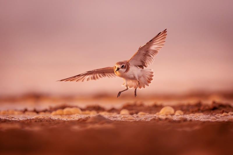 Breathing in motion